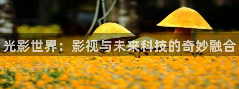 保利万和影城今日影讯：光影世界：影视与未来科技的奇妙融合