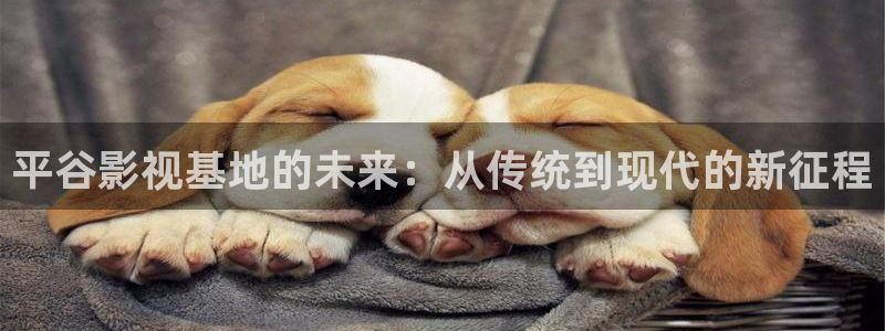 保利中环国际影城：平谷影视基地的未来：从传统到现代的新征程