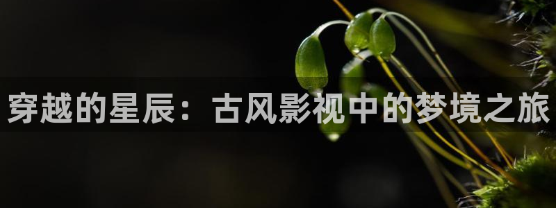 重庆保利万和国际影城：穿越的星辰：古风影视中的梦境之旅
