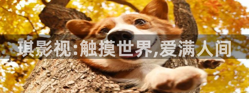 保利电影院官网：琪影视:触摸世界,爱满人间