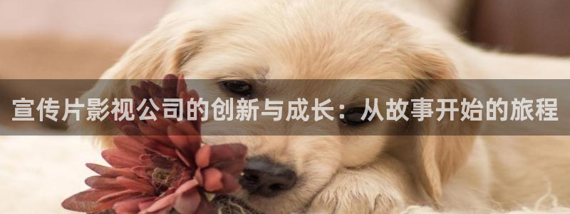 保利国际影城今日电影：宣传片影视公司的创新与成长：从故事开始的旅程